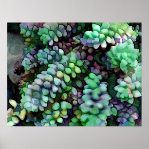 Pôster Cool Hued Burro's Tails in the Hot Desert