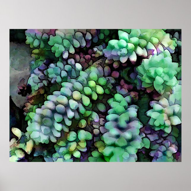 Pôster Cool Hued Burro's Tails in the Hot Desert (Frente)