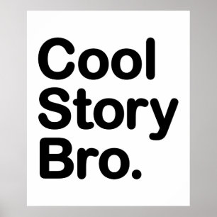 Pôster Cool Story Bro
