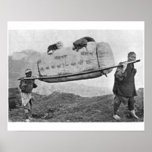 Pôster Coolies carrying cotton, 1901 (b/w photo)