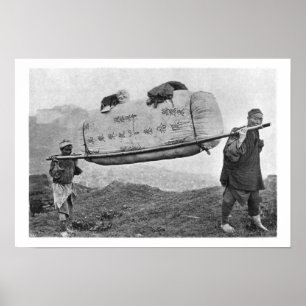 Pôster Coolies que levam o algodão, 1901 (foto de b/w)