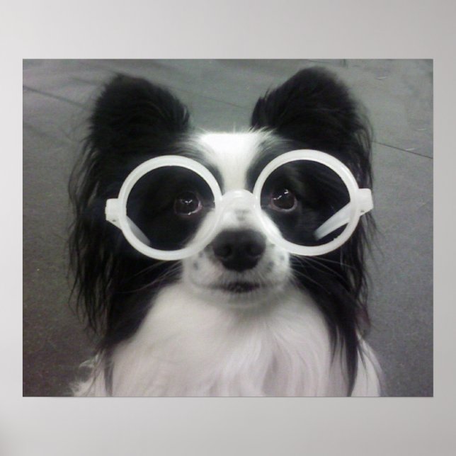 POSTER COOPER IN SHADES (Frente)