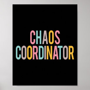 Poster Coordenador do Caos - Apreciação Colorida Dia De V