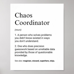 Poster Coordenadores e Supervisores Definição Divertida d