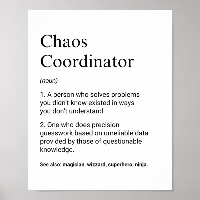 Poster Coordenadores e Supervisores Definição Divertida d (Frente)