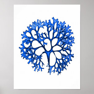 Pôster Cópia botânica litoral do no. 12 azuis do