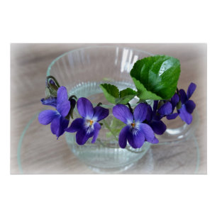 Pôster copo de violetas