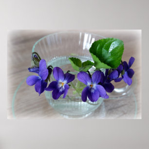 Pôster copo de violetas