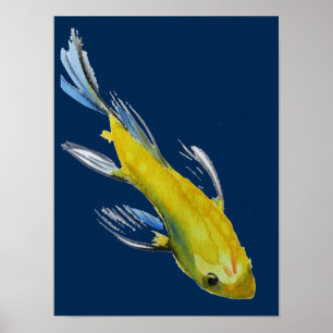 Poster Cor da água amarela do Koi