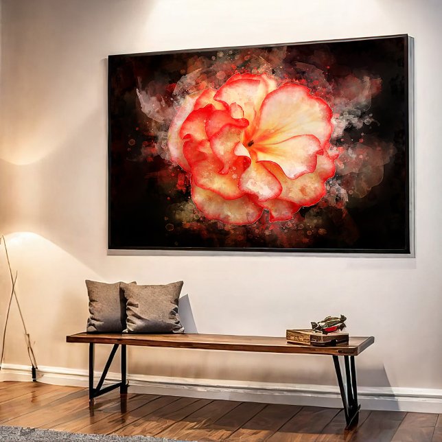 Poster Cor da água da flor da Begónia - bb3 (Criador carregado)