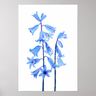 Poster Cor da água da flor de campainhas botânicas