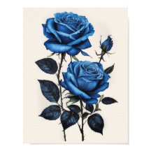 Cor da água Rosa azul