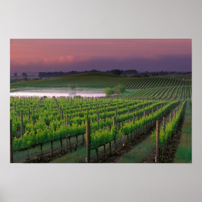 Pôster Cor da alvorada na névoa distante atrás (Frente)