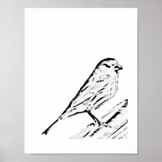 Poster - Cor da tela