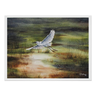 Pôster Cor d'água branca Egret