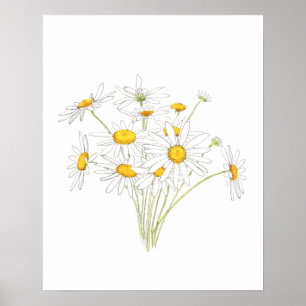 Poster cor d'água branca, pequena margarida buquê