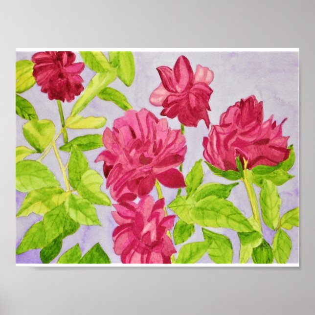 Poster Cor d'água das rosas cor-de-rosa profundo (Frente)