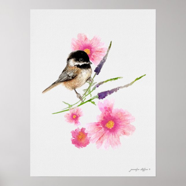 Poster Cor de Água Chickadee Black Capped (Frente)