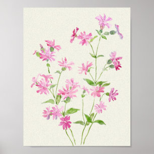 Poster cor-de-água delicada rosa cor-de-rosa-acampamento