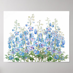 Poster cor-de-água do campo larkspur azul e roxa