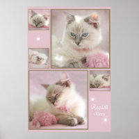 poster cor-de-rosa