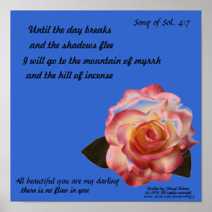 Poster cor-de-rosa bonito