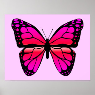 Poster cor-de-rosa da borboleta