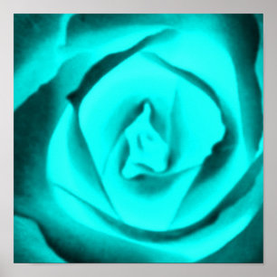 Poster cor-de-rosa da cerceta