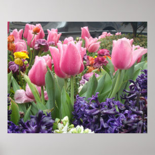 Poster cor-de-rosa da floresta da tulipa