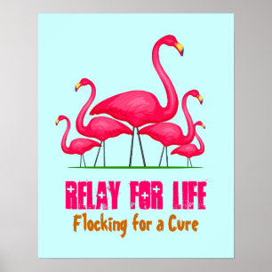 Pôster + cor-de-rosa do flamingo