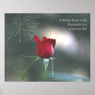 Poster cor-de-rosa do luar do inverno: AUMENTOU &