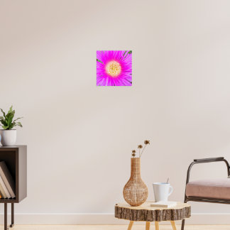 Poster Cor-de-rosa Elétrico Planta de Gelo Mediterrânea