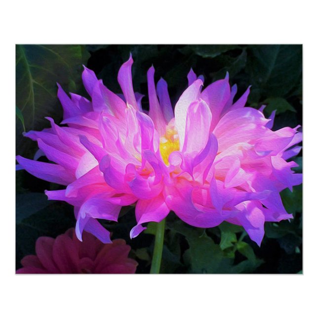 Pôster Cor-de-rosa estonteante e cacto roxo Dahlia (Frente)