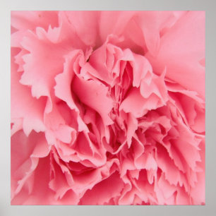 Poster cor-de-rosa Fechar
