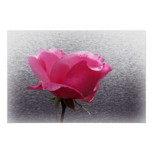 Pôster cor-de-rosa sobre a cinza