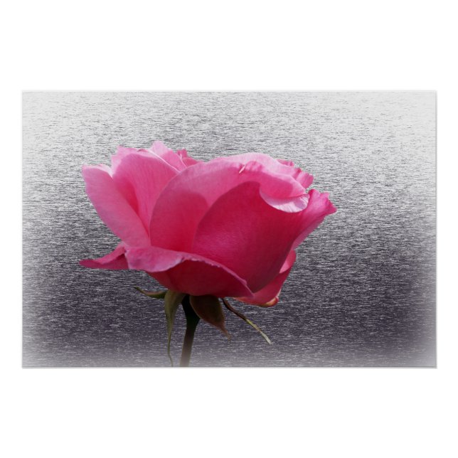 Pôster cor-de-rosa sobre a cinza (Frente)