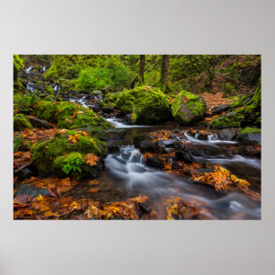 Poster Cor do outono ao longo da Starvation Creek Falls