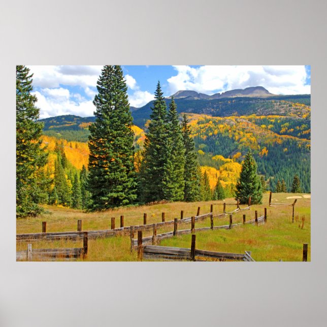 Poster Cor do outono no campo (Frente)