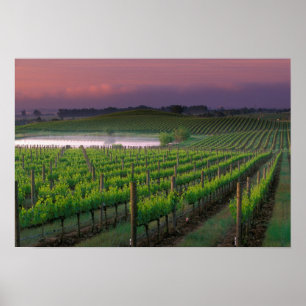 Pôster Cor do sol no nevoeiro distante atrás