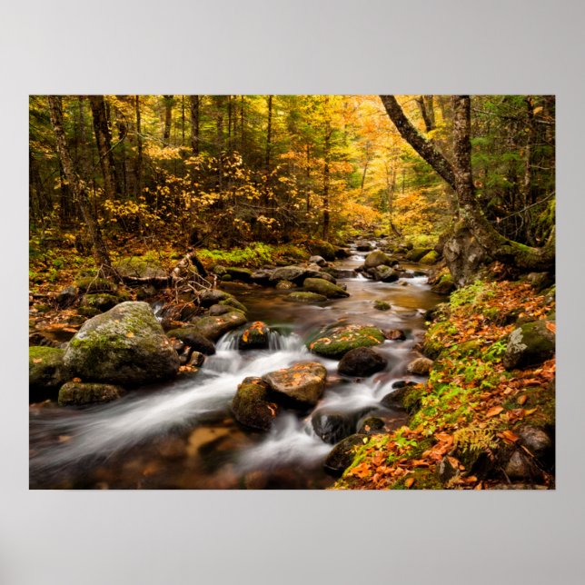 Poster Cor Jefferson Brook Outono | Montanhas Brancas (Frente)