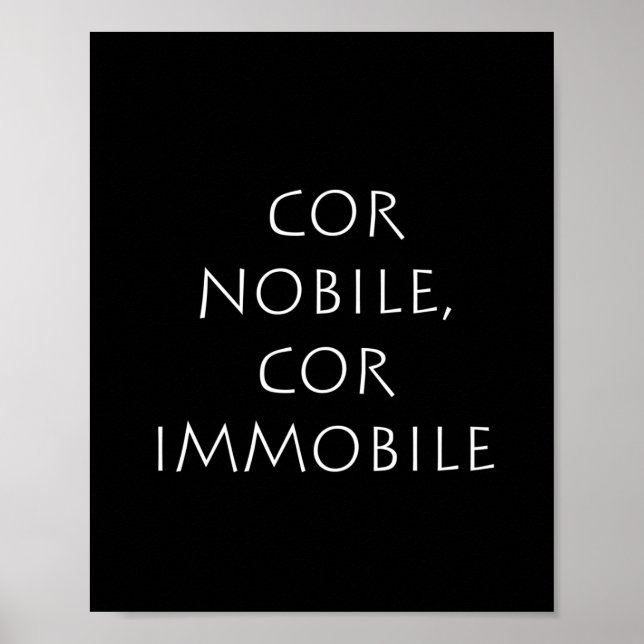 Poster Cor nobile cor immóvel (Frente)