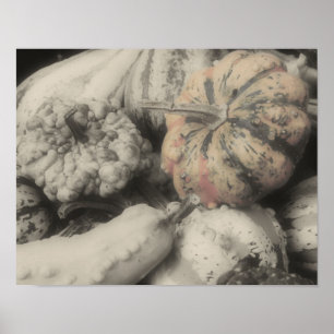 Pôster Cor Parcial das Gourds Ornamentais