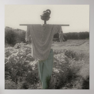 Pôster Cor Parcial do Espantalho do Jardim do País