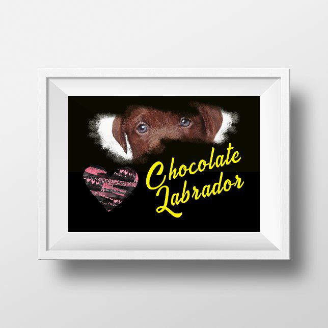 Poster Cor Sólida dos Olhos Labradores de Chocolate (Criador carregado)