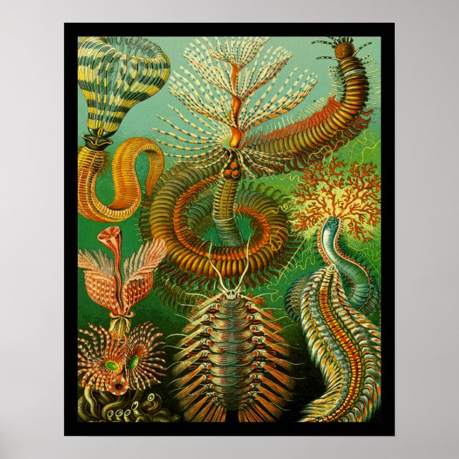 Pôster Cor Submarina (Frente)