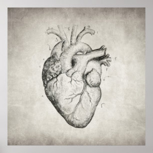Pôster Coração