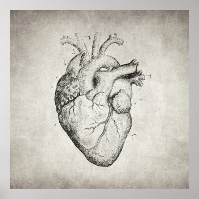 Pôster Coração (Frente)