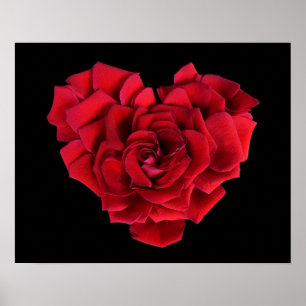 Poster Coração de Rosa Vermelha em Preto