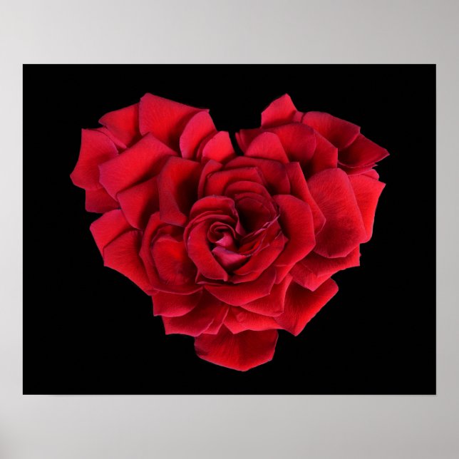 Poster Coração de Rosa Vermelha em Preto (Frente)