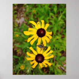 Poster Coração de Summer - Fotografia de Ken Gage